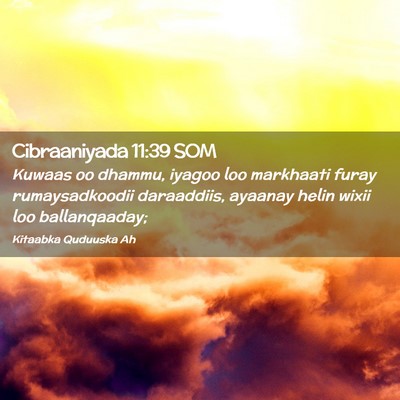 Picture 02 - Cibraaniyada 11:39 SOM - Kuwaas oo dhammu, iyagoo loo markhaati furay - Bible Verse Picture
