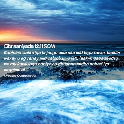 Picture 02 - Cibraaniyada 12:11 SOM - Edbinina wakhtiga la joogo uma eka mid lagu - Bible Verse Picture