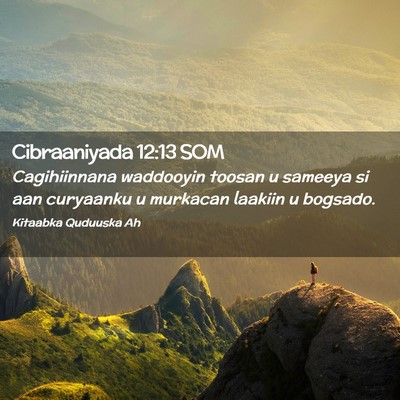 Picture 02 - Cibraaniyada 12:13 SOM - Cagihiinnana waddooyin toosan u sameeya si aan - Bible Verse Picture