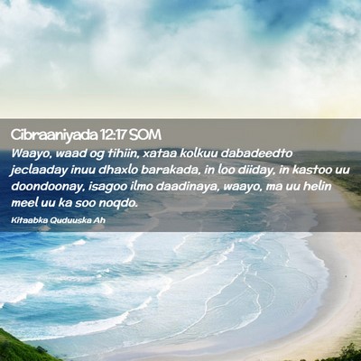 Picture 02 - Cibraaniyada 12:17 SOM - Waayo, waad og tihiin, xataa kolkuu dabadeedto - Bible Verse Picture