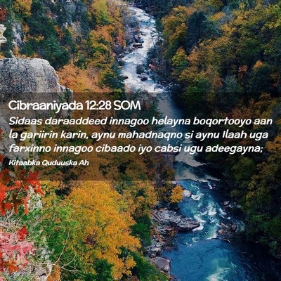 Picture 02 - Cibraaniyada 12:28 SOM - Sidaas daraaddeed innagoo helayna boqortooyo aan - Bible Verse Picture