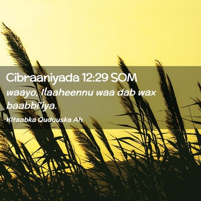 Picture 02 - Cibraaniyada 12:29 SOM - waayo, Ilaaheennu waa dab wax - Bible Verse Picture