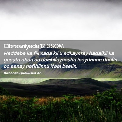 Picture 02 - Cibraaniyada 12:3 SOM - Haddaba ka fiirsada kii u adkaystay hadalkii ka - Bible Verse Picture