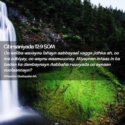 Picture 02 - Cibraaniyada 12:9 SOM - Oo weliba waxaynu lahayn aabbayaal xagga jidhka - Bible Verse Picture