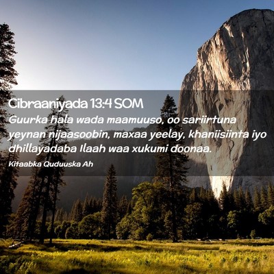 Picture 02 - Cibraaniyada 13:4 SOM - Guurka hala wada maamuuso, oo sariirtuna yeynan - Bible Verse Picture