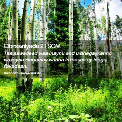 Picture 02 - Cibraaniyada 2:1 SOM - Taa aawadeed waa inaynu aad u dhegaysanno waxaynu - Bible Verse Picture