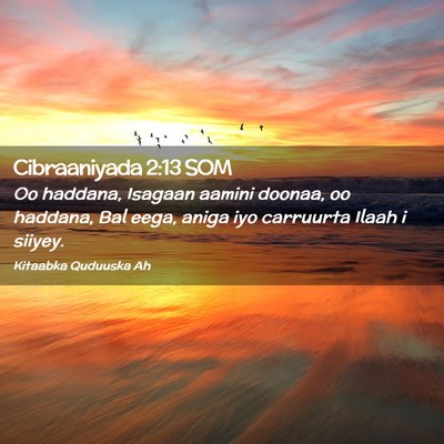 Picture 02 - Cibraaniyada 2:13 SOM - Oo haddana, Isagaan aamini doonaa, oo haddana, - Bible Verse Picture