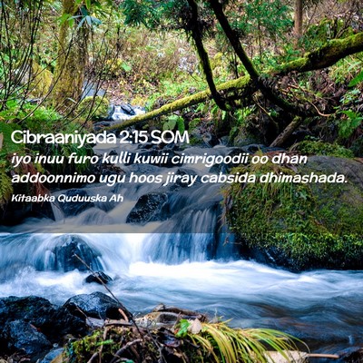 Picture 02 - Cibraaniyada 2:15 SOM - iyo inuu furo kulli kuwii cimrigoodii oo dhan - Bible Verse Picture