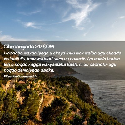 Picture 02 - Cibraaniyada 2:17 SOM - Haddaba waxaa isaga u ekayd inuu wax walba ugu - Bible Verse Picture