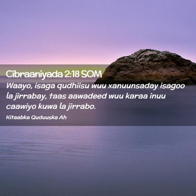 Picture 02 - Cibraaniyada 2:18 SOM - Waayo, isaga qudhiisu wuu xanuunsaday isagoo la - Bible Verse Picture