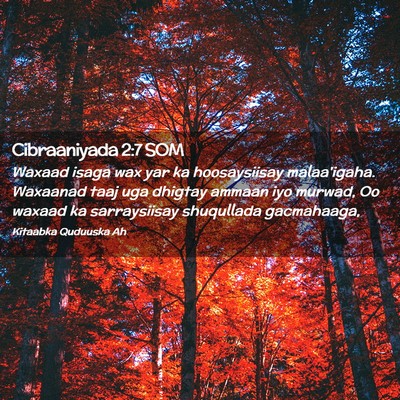 Picture 02 - Cibraaniyada 2:7 SOM - Waxaad isaga wax yar ka hoosaysiisay malaa'igaha. - Bible Verse Picture