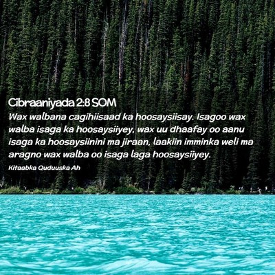 Picture 02 - Cibraaniyada 2:8 SOM - Wax walbana cagihiisaad ka hoosaysiisay. Isagoo - Bible Verse Picture