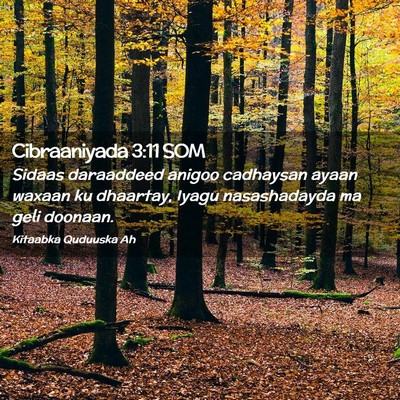 Picture 02 - Cibraaniyada 3:11 SOM - Sidaas daraaddeed anigoo cadhaysan ayaan waxaan - Bible Verse Picture