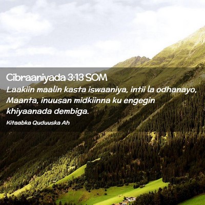 Picture 02 - Cibraaniyada 3:13 SOM - Laakiin maalin kasta iswaaniya, intii la - Bible Verse Picture