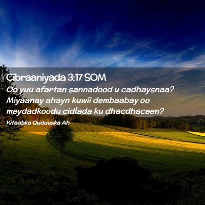Picture 02 - Cibraaniyada 3:17 SOM - Oo yuu afartan sannadood u cadhaysnaa? Miyaanay - Bible Verse Picture