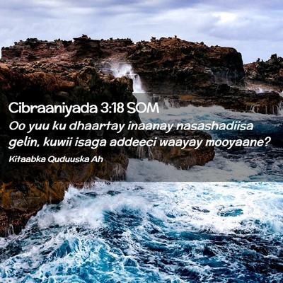 Picture 02 - Cibraaniyada 3:18 SOM - Oo yuu ku dhaartay inaanay nasashadiisa gelin, - Bible Verse Picture