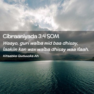 Picture 02 - Cibraaniyada 3:4 SOM - Waayo, guri walba mid baa dhisay, laakiin kan wax - Bible Verse Picture