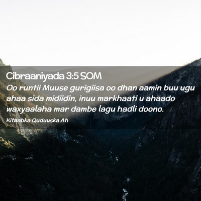 Picture 02 - Cibraaniyada 3:5 SOM - Oo runtii Muuse gurigiisa oo dhan aamin buu ugu - Bible Verse Picture