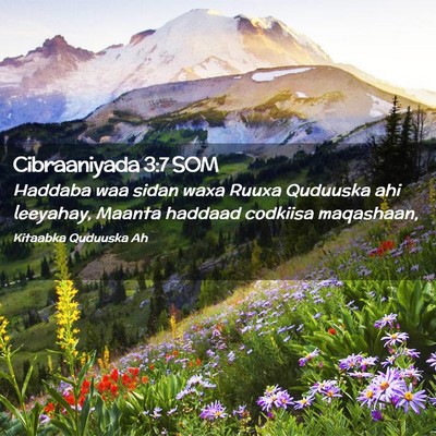 Picture 02 - Cibraaniyada 3:7 SOM - Haddaba waa sidan waxa Ruuxa Quduuska ahi - Bible Verse Picture