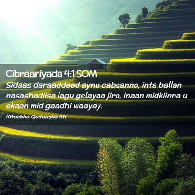 Picture 02 - Cibraaniyada 4:1 SOM - Sidaas daraaddeed aynu cabsanno, inta ballan - Bible Verse Picture