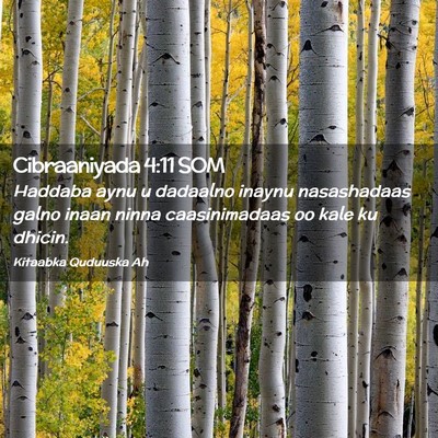 Picture 02 - Cibraaniyada 4:11 SOM - Haddaba aynu u dadaalno inaynu nasashadaas galno - Bible Verse Picture