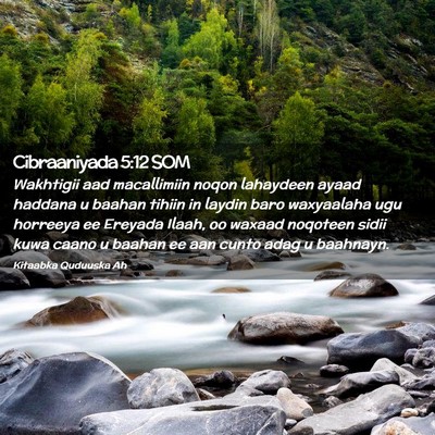 Picture 02 - Cibraaniyada 5:12 SOM - Wakhtigii aad macallimiin noqon lahaydeen ayaad - Bible Verse Picture