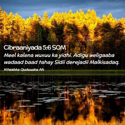 Picture 02 - Cibraaniyada 5:6 SOM - Meel kalena wuxuu ka yidhi. Adigu weligaaba - Bible Verse Picture