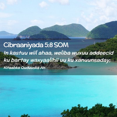 Picture 02 - Cibraaniyada 5:8 SOM - In kastuu wiil ahaa, weliba wuxuu addeecid ku - Bible Verse Picture