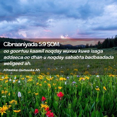 Picture 02 - Cibraaniyada 5:9 SOM - oo goortuu kaamil noqday wuxuu kuwa isaga addeeca - Bible Verse Picture