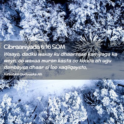 Picture 02 - Cibraaniyada 6:16 SOM - Waayo, dadku waxay ku dhaartaan kan iyaga ka - Bible Verse Picture