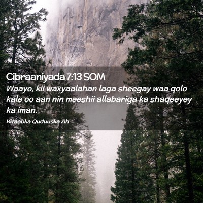 Picture 02 - Cibraaniyada 7:13 SOM - Waayo, kii waxyaalahan laga sheegay waa qolo kale - Bible Verse Picture