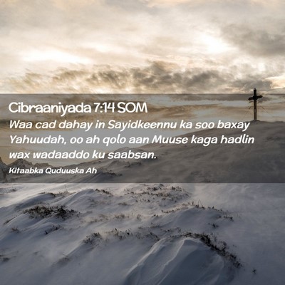 Picture 02 - Cibraaniyada 7:14 SOM - Waa cad dahay in Sayidkeennu ka soo baxay - Bible Verse Picture