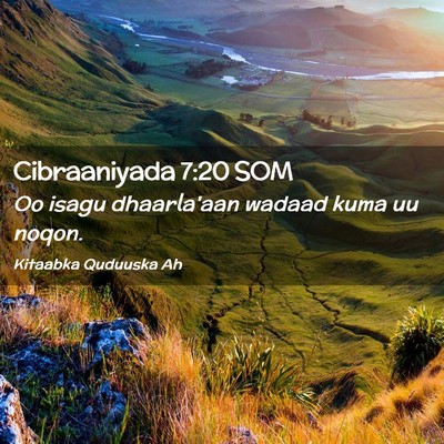 Picture 02 - Cibraaniyada 7:20 SOM - Oo isagu dhaarla'aan wadaad kuma uu - Bible Verse Picture