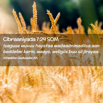 Picture 02 - Cibraaniyada 7:24 SOM - Isaguse wuxuu haystaa wadaadnimadiisa aan - Bible Verse Picture