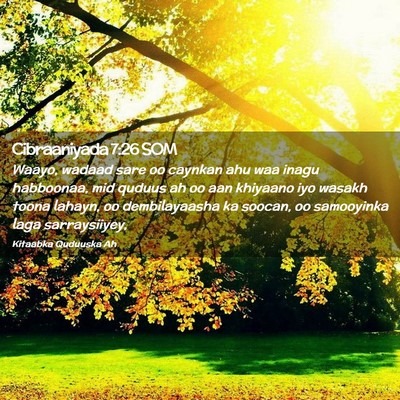 Picture 02 - Cibraaniyada 7:26 SOM - Waayo, wadaad sare oo caynkan ahu waa inagu - Bible Verse Picture