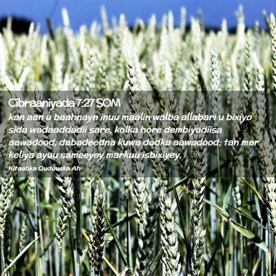 Picture 02 - Cibraaniyada 7:27 SOM - kan aan u baahnayn inuu maalin walba allabari u - Bible Verse Picture