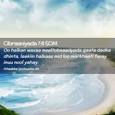 Picture 02 - Cibraaniyada 7:8 SOM - Oo halkan waxaa meeltobnaadyada qaata dadka - Bible Verse Picture