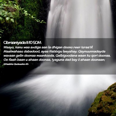Picture 02 - Cibraaniyada 8:10 SOM - Waayo, kanu waa axdiga aan la dhigan doono reer - Bible Verse Picture