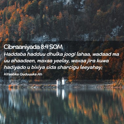 Picture 02 - Cibraaniyada 8:4 SOM - Haddaba hadduu dhulka joogi lahaa, wadaad ma uu - Bible Verse Picture