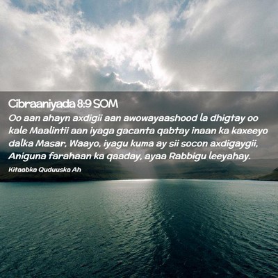 Picture 02 - Cibraaniyada 8:9 SOM - Oo aan ahayn axdigii aan awowayaashood la dhigtay - Bible Verse Picture