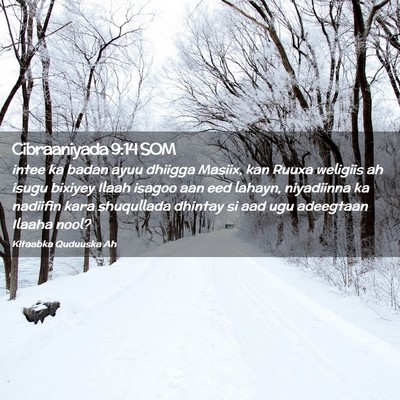 Picture 02 - Cibraaniyada 9:14 SOM - intee ka badan ayuu dhiigga Masiix, kan Ruuxa - Bible Verse Picture