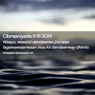 Picture 02 - Cibraaniyada 9:16 SOM - Waayo, meeshii dardaaran jiro waa lagamamaarmaan - Bible Verse Picture