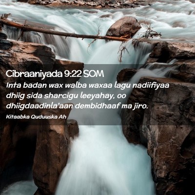 Picture 02 - Cibraaniyada 9:22 SOM - Inta badan wax walba waxaa lagu nadiifiyaa dhiig - Bible Verse Picture