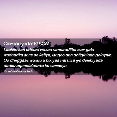 Picture 02 - Cibraaniyada 9:7 SOM - Laakiin kan labaad waxaa sannaddiiba mar gala - Bible Verse Picture