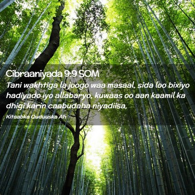 Picture 02 - Cibraaniyada 9:9 SOM - Tani wakhtiga la joogo waa masaal, sida loo - Bible Verse Picture
