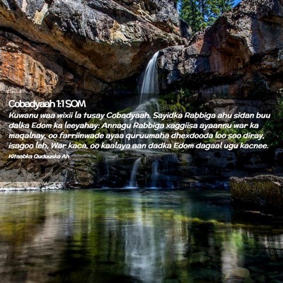 Picture 02 - Cobadyaah 1:1 SOM - Kuwanu waa wixii la tusay Cobadyaah. Sayidka - Bible Verse Picture