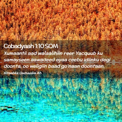 Picture 02 - Cobadyaah 1:10 SOM - Xumaantii aad walaalihiin reer Yacquub ku - Bible Verse Picture