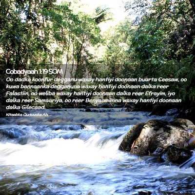 Picture 02 - Cobadyaah 1:19 SOM - Oo dadka koonfur degganu waxay hantiyi doonaan - Bible Verse Picture