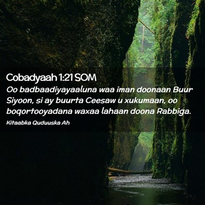 Picture 02 - Cobadyaah 1:21 SOM - Oo badbaadiyayaaluna waa iman doonaan Buur - Bible Verse Picture