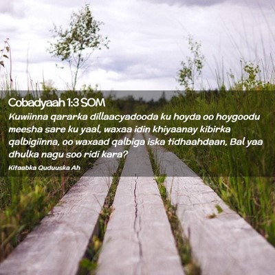 Picture 02 - Cobadyaah 1:3 SOM - Kuwiinna qararka dillaacyadooda ku hoyda oo - Bible Verse Picture